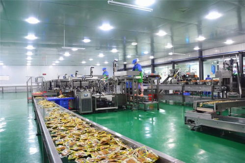 年产值达1.5亿元 梁平这家食品企业 机器换人 换出企业高效益