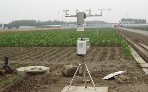 农田灌溉决策技术 让农作物智慧 喝水